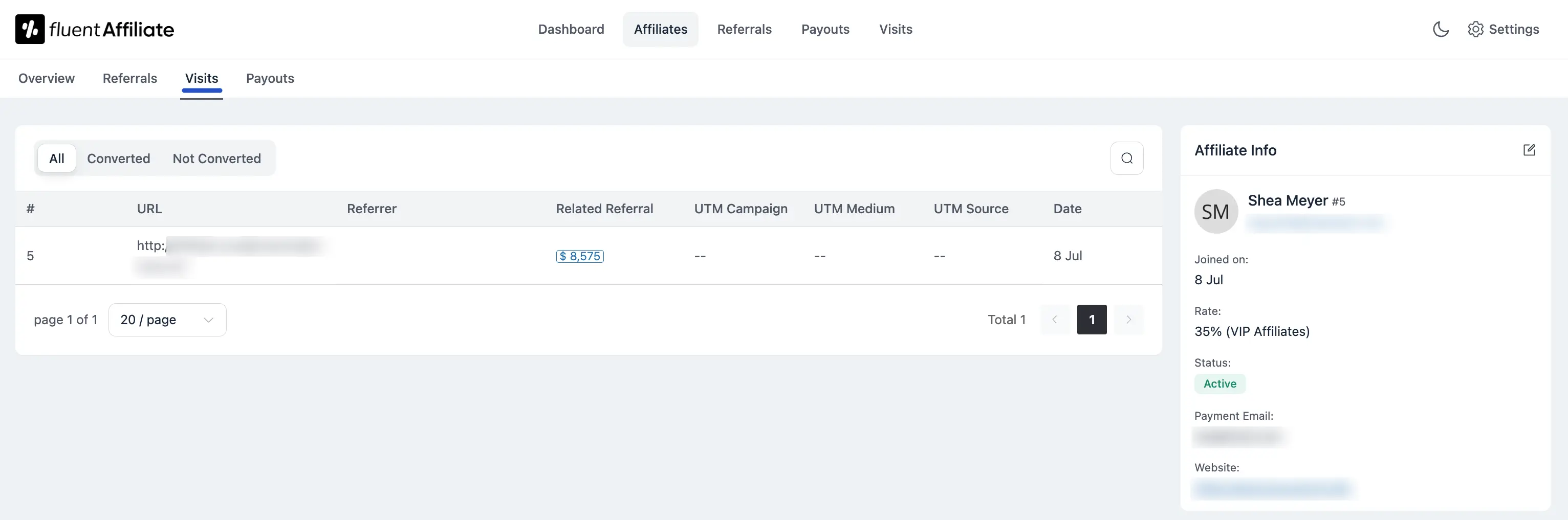 Affiliate Profile Visit