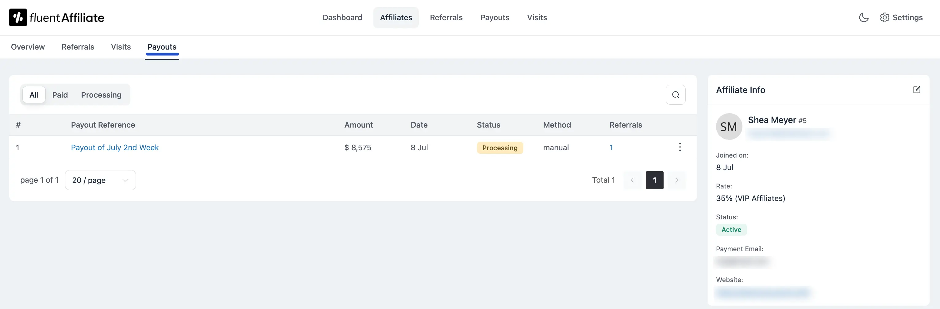 Affiliate Profile Payout